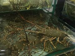 -班赞海鲜市场