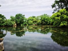 -西溪国家湿地公园