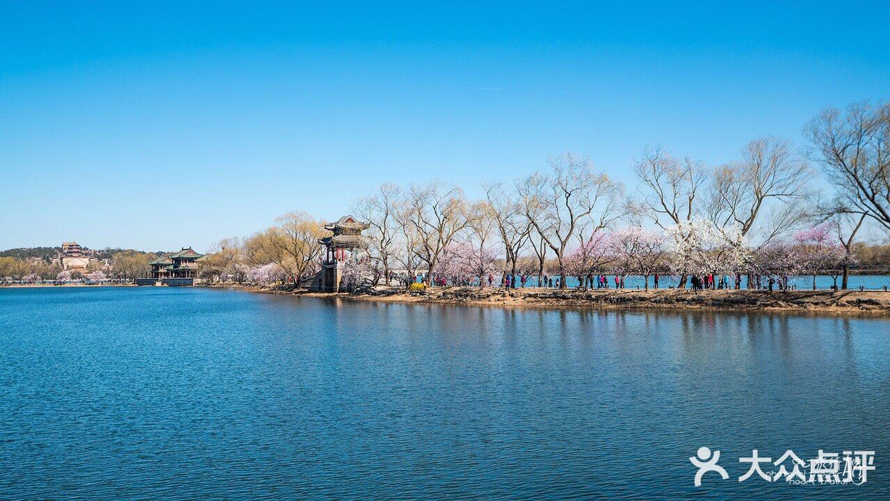 北京颐和园西堤最美桃花绽放