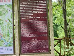 -三块石国家森林公园