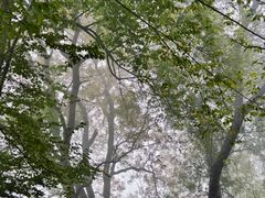 -子昂故里文化旅游区