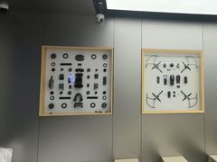 -DJI大疆(深圳华强北曼哈授权体验店)