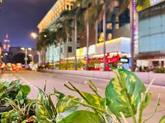 -华星冰室(湾仔店)