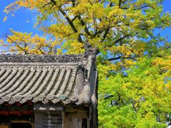 -金堂县云顶石城风景区