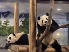 -西安秦岭野生动物园