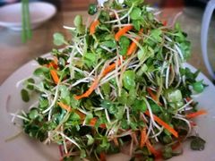 拌豆苗-青岛锅贴(四流中路店)