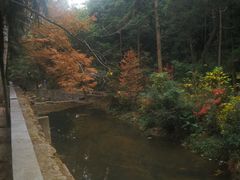 -白鹿洞书院