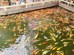 -番禺宾馆丽苑厅