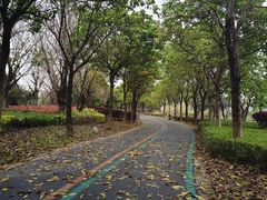 -琅岐红光湖公园