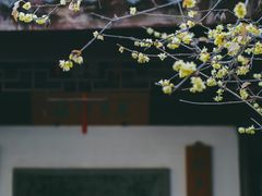 -留园