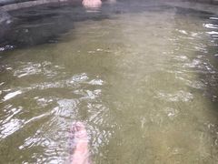 -青城道汤池