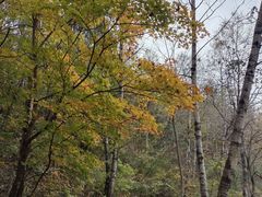 -玉渡山自然风景区