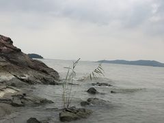 -上海市保健医疗中心(华东疗养院)