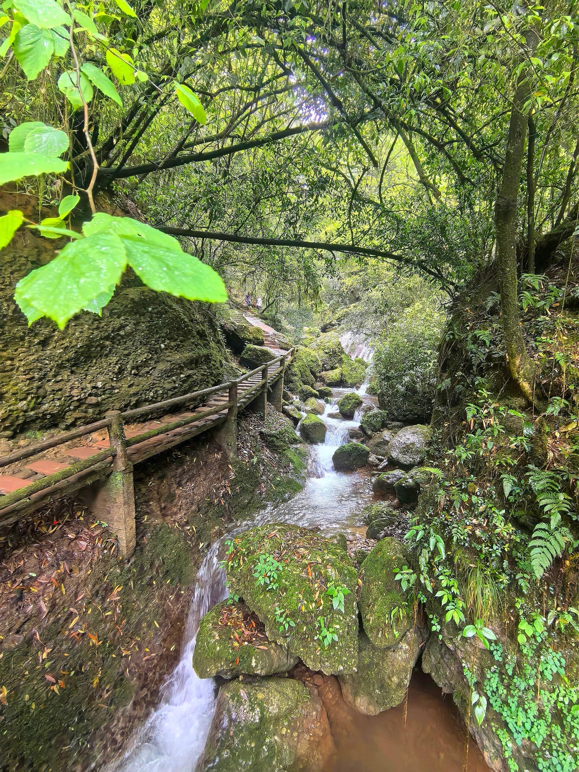 青城后山景点图片