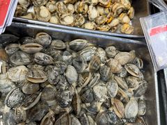 -渔家大院·地道威海菜(石岛店)