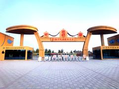 -金塔沙漠胡杨林景区