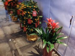 -新长福(星沙店)