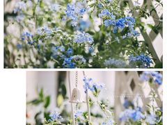 -INSDREAM FLOWER 鲜花预定·花艺培训