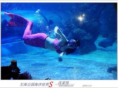 -左海海底世界