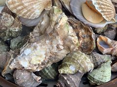 -王潮活海鲜自助·蒸汽海鲜