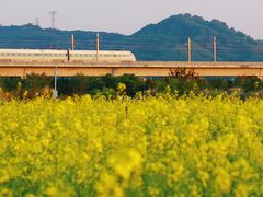 -光明小镇欢乐田园