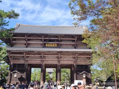 -奈良公园