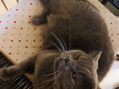 -Rabbit Cafe私房西餐甜点咖啡(栖霞路店)