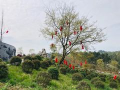 -都江堰玫瑰花溪谷