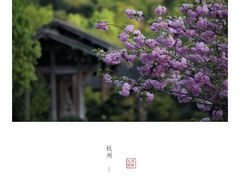 -法云安缦酒店