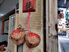 -洪馨椰子