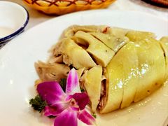 -津津名菜馆(绝没分店)