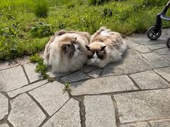 -长广溪湿地公园