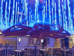 -蟹之国·精品蟹料理(极地店)