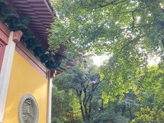 -灵隐飞来峰景区
