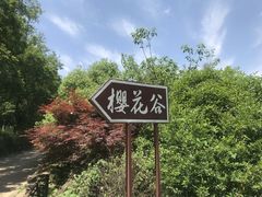 -南京市江宁方山