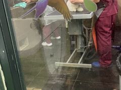 -美联众合动物医院(唯恩分院)