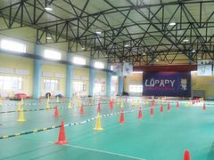 -长春乐奇平衡车儿童体能运动中心