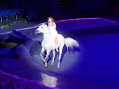 -珠海横琴长隆《卡卡虎奇遇记》