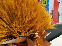 -SFC上影影城(北京大兴龙湖天街IMAX店)