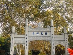 -西门刘东拉面馆(金珠花苑店)
