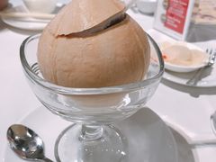 椰子-詠春园