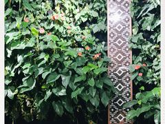 -Peet's Coffee皮爷咖啡(德基店)