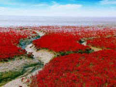 -红海滩国家风景廊道