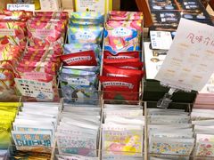 -猫的天空之城概念书店(景德镇陶溪川店)