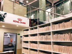 -爱侣宠医·鹦鹉专科·小型哺乳类·异宠专科(灵石路店)