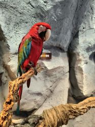 -Zoolung Zoolung动物主题公园(海信广场店)