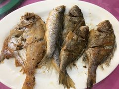 -湛江渔港·大排档(乐园路总店)