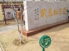 -桃花堤公园