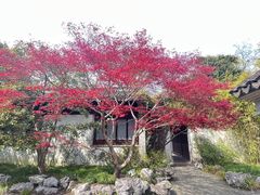 -惠山古镇·寄畅园