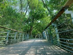-西湖风景区-江洋畈生态公园